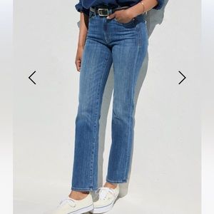 AYR The Pop in Laid Back